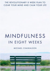 Minimalist book cover